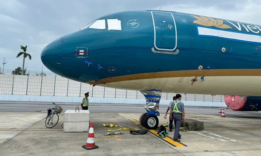 Sân bay Quốc tế Nội Bài chằng néo tàu bay phòng chống bão số 3 Wipha. Ảnh: ACV