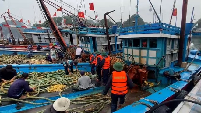国境警備隊と漁民が船舶を縛り、台風3号(台風ウィファ)に対応。写真:国境警備隊