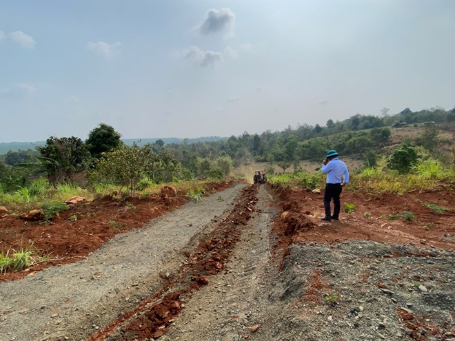 ....Ảnh: Bảo Lâm