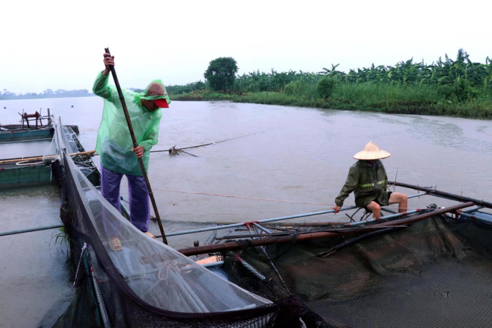 フンイエン省の養魚民は台風対策を急いでいます。写真:Mai Huong