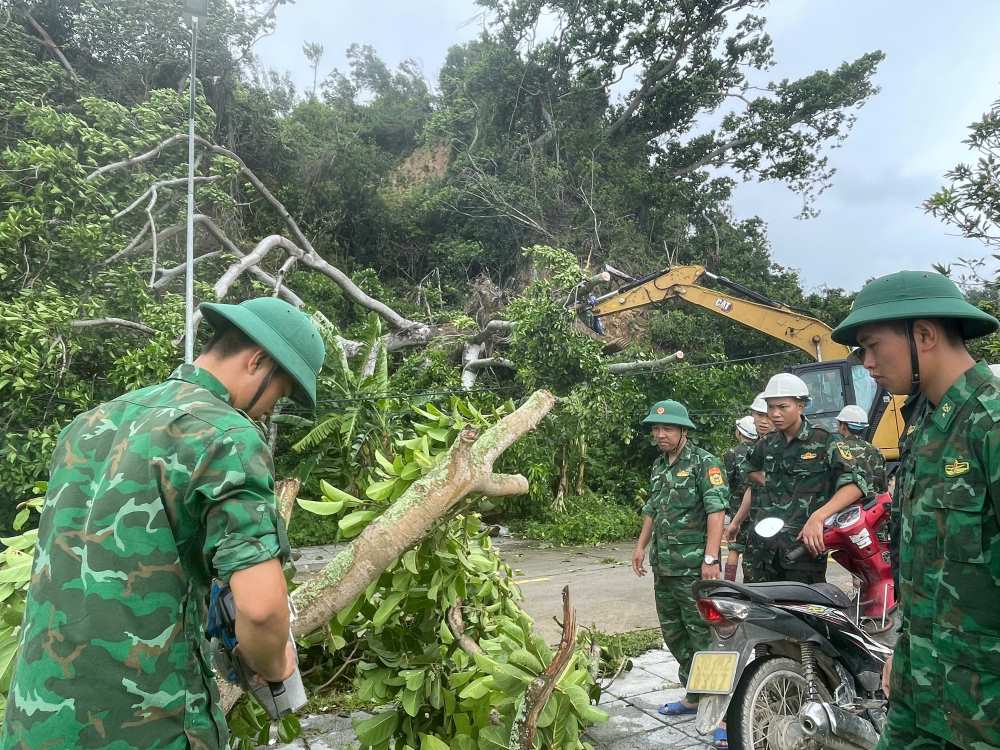 꼬또 섬의 국경 수비대가 제3호 태풍으로 인해 도로에 쓰러진 나무를 정리하고 있습니다. 사진: 꼬또 특별 구역 탄란 섬의 국경 수비대