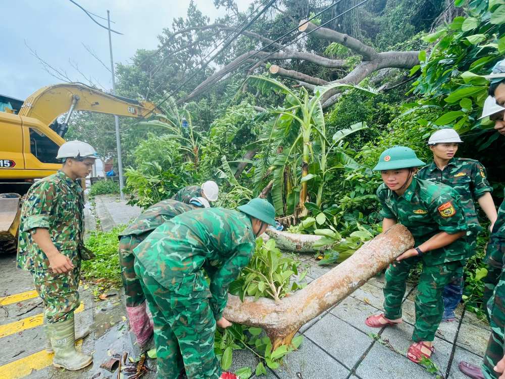 Bo doi bien phong don dep cay do. Anh: Bo doi Bien phong dao Thanh Lan, Dac khu Co To.