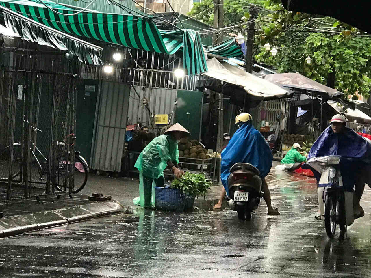 Anh: Yen San