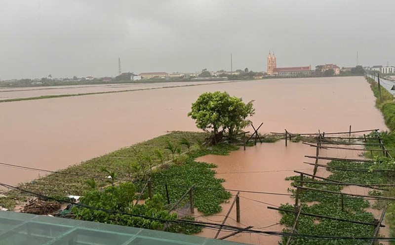 Many rice fields in Ninh Binh province were submerged in water. Photo: Hoang Quan