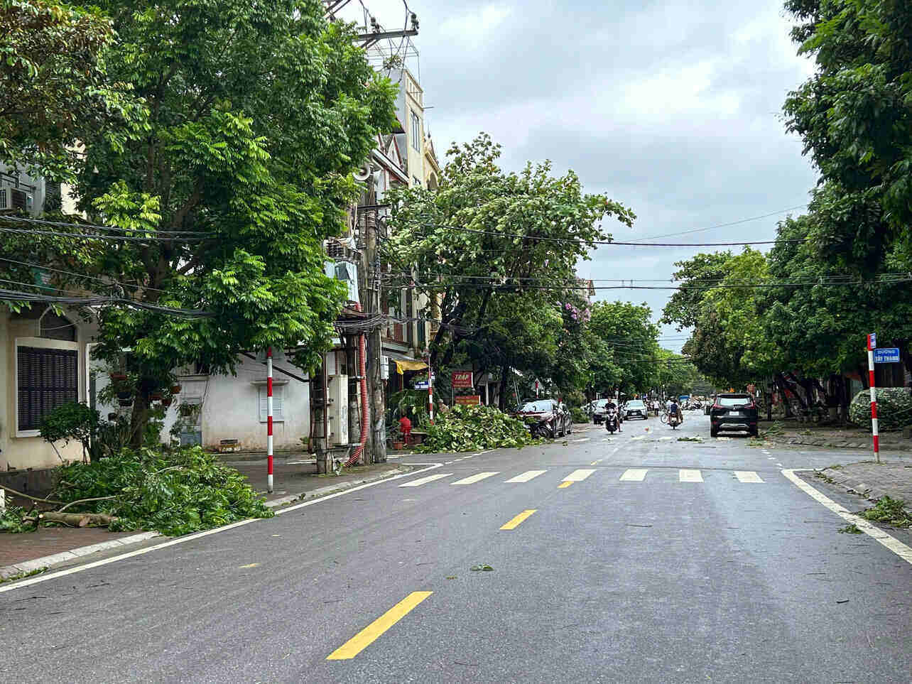 Gio quat do nhieu cay xanh tai phuong Pho Hien, tinh Hung Yen. Anh: Mai Huong