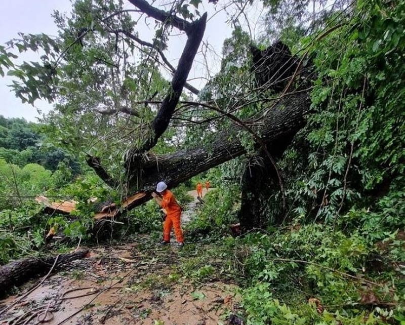 Cong nhan cua Dien luc Cao Bang trong 1 lan khac phuc hau qua mua, bao. Anh: Hoang Yen