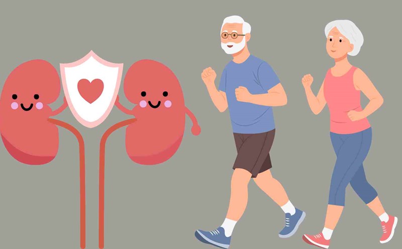 Walking every day is good for the kidneys. Graphics: Ha May
