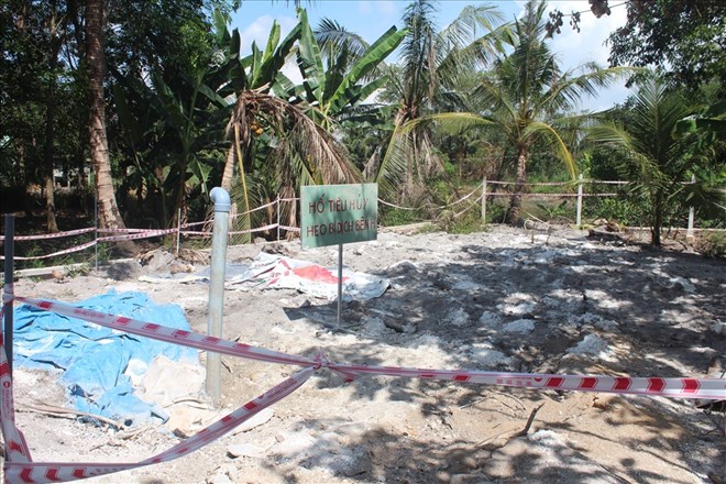 동나이에서 아프리카돼지열병에 걸린 돼지를 폐기하는 구덩이. 자료 사진: HAC