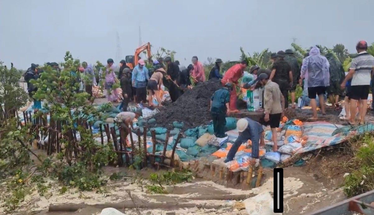 Hundreds of fishermen are riding the 150 m dike in Cat Hai, Hai Phong. Photo: Cat Hai area