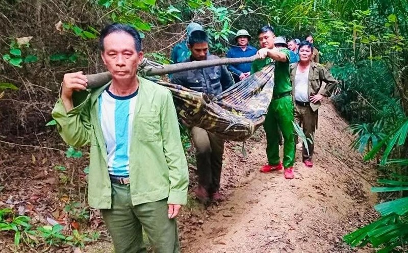Found the old man lost in the forest and carried a hammock to bring him home safely. Photo: Quang Tri Provincial Police