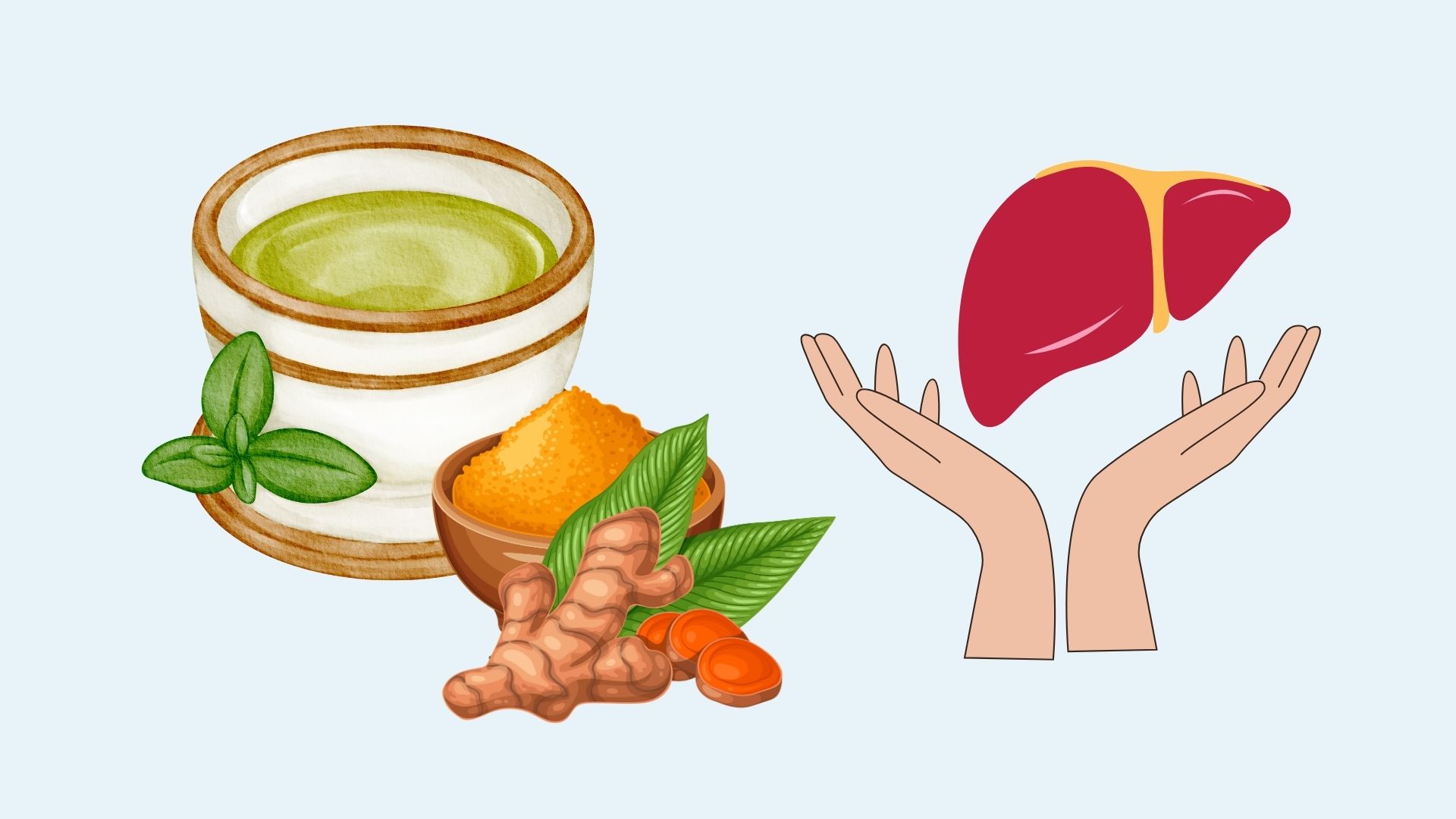 간은 잠들기 전에 물 한 잔 덕분에 밤새도록 해독됩니다. 그래픽: 린단