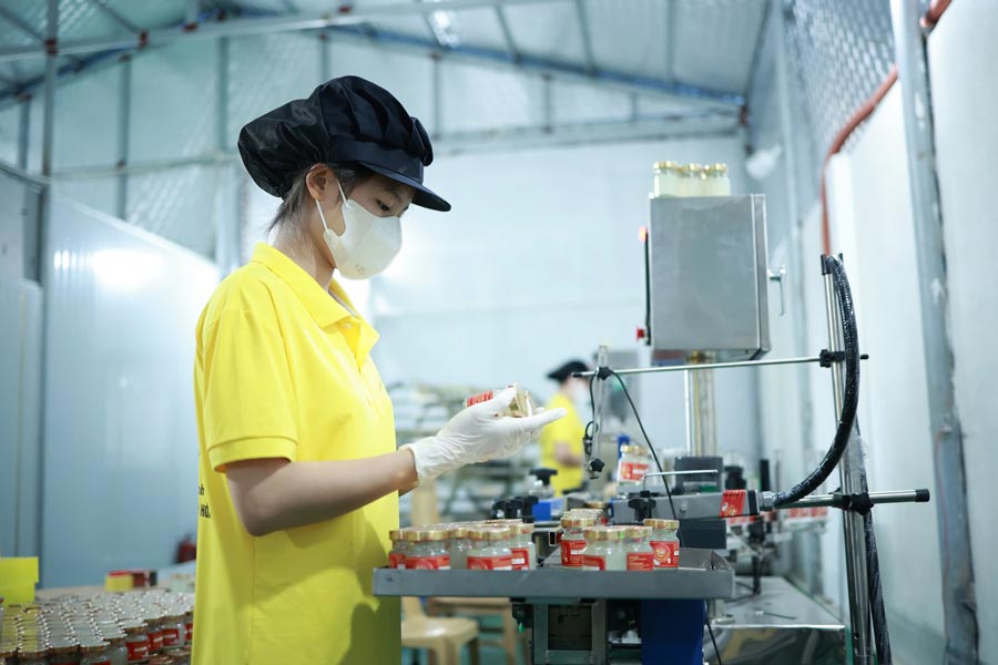 베트남은 디지털 경제와 녹색 성장의 기회를 최대한 활용해야 합니다. 사진: 하이 응우옌