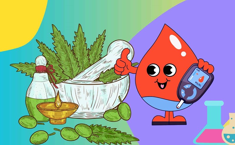 Here are some herbal remedies to help control blood sugar at home. Graphic photo: Thai Anh