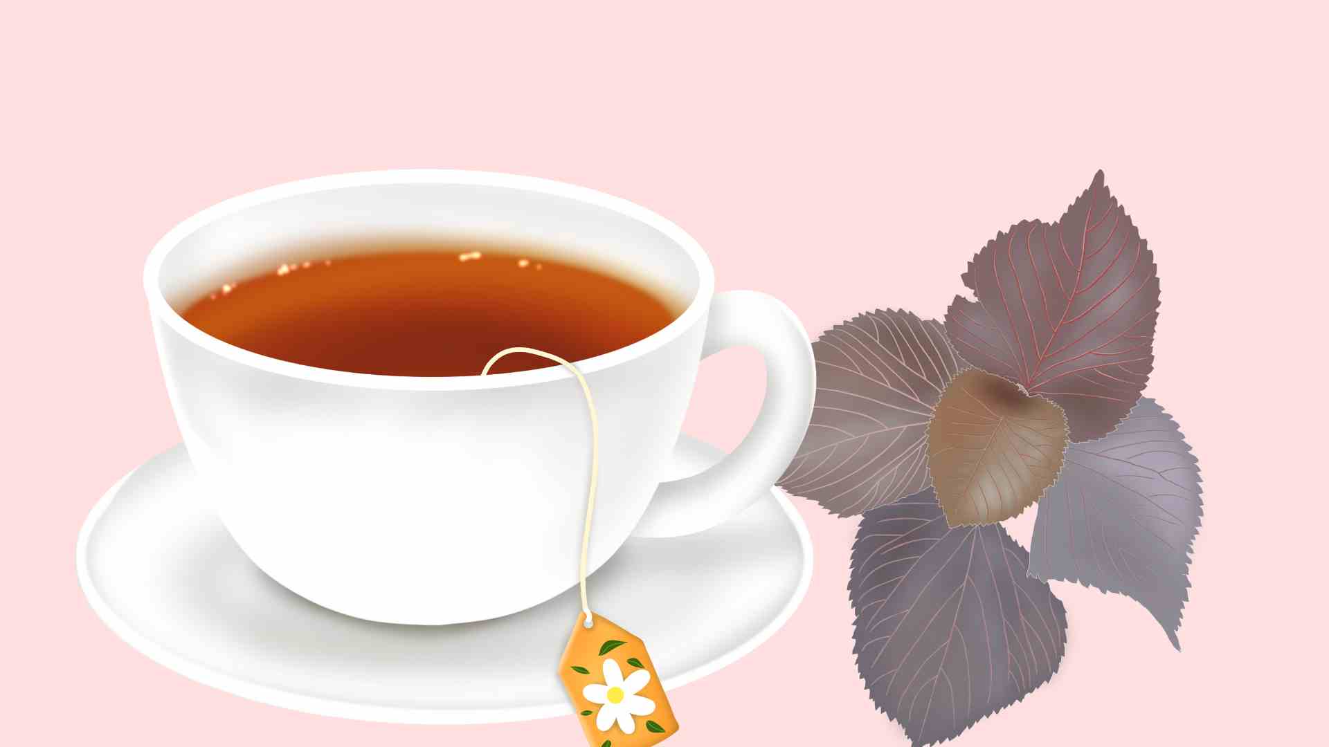 Perilla leaves help lose weight effectively. Graphic photo: Thai Anh