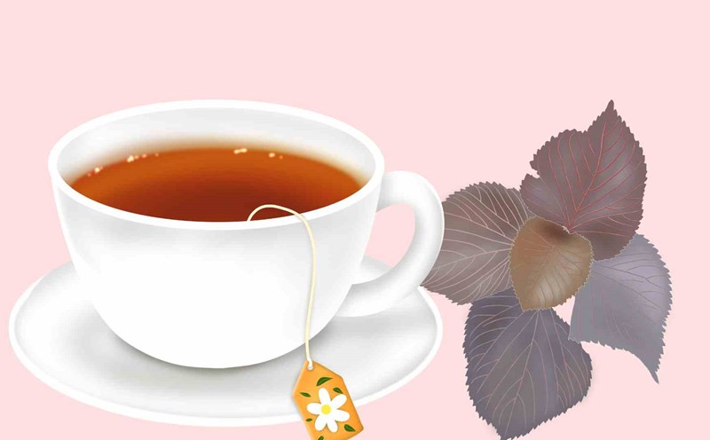 Perilla leaves help lose weight effectively. Graphic photo: Thai Anh