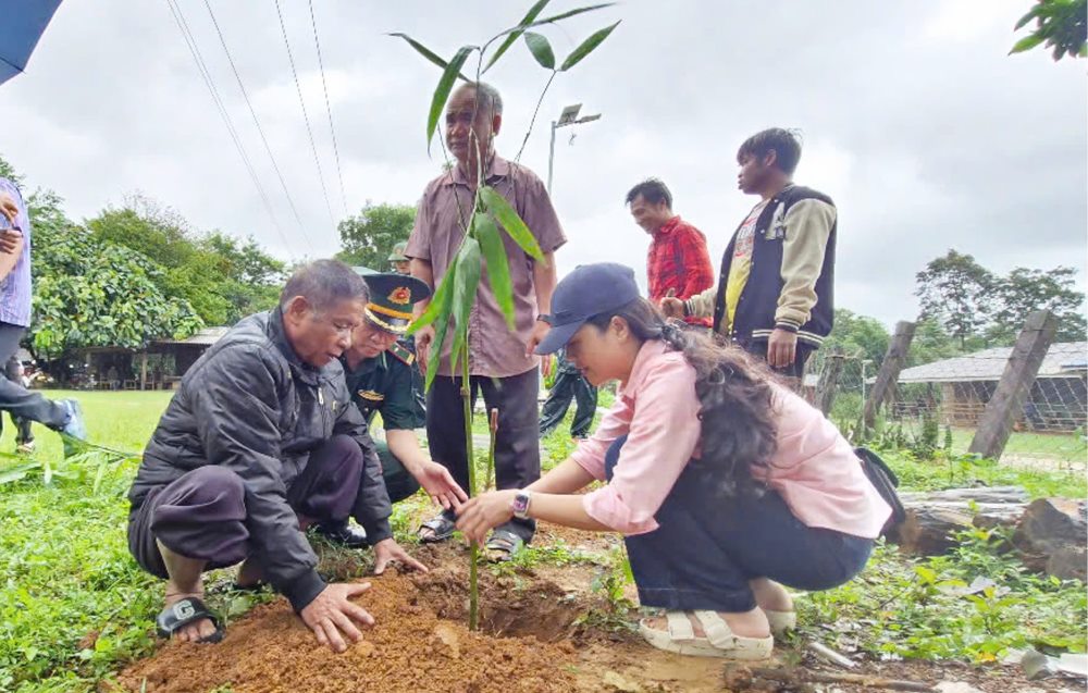 Remise du modele de culture de bambou a partir de bambou aux habitants de la region frontaliere Vietnam - Laos.