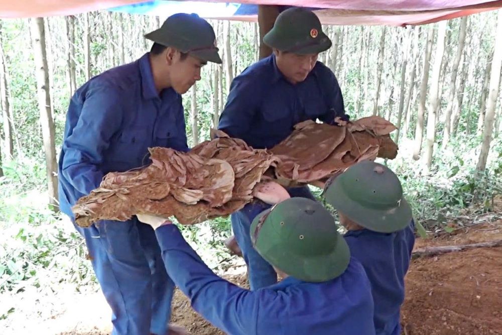 The remains of martyrs were discovered in the Ban Chua forest area. Photo: H.Nguyen