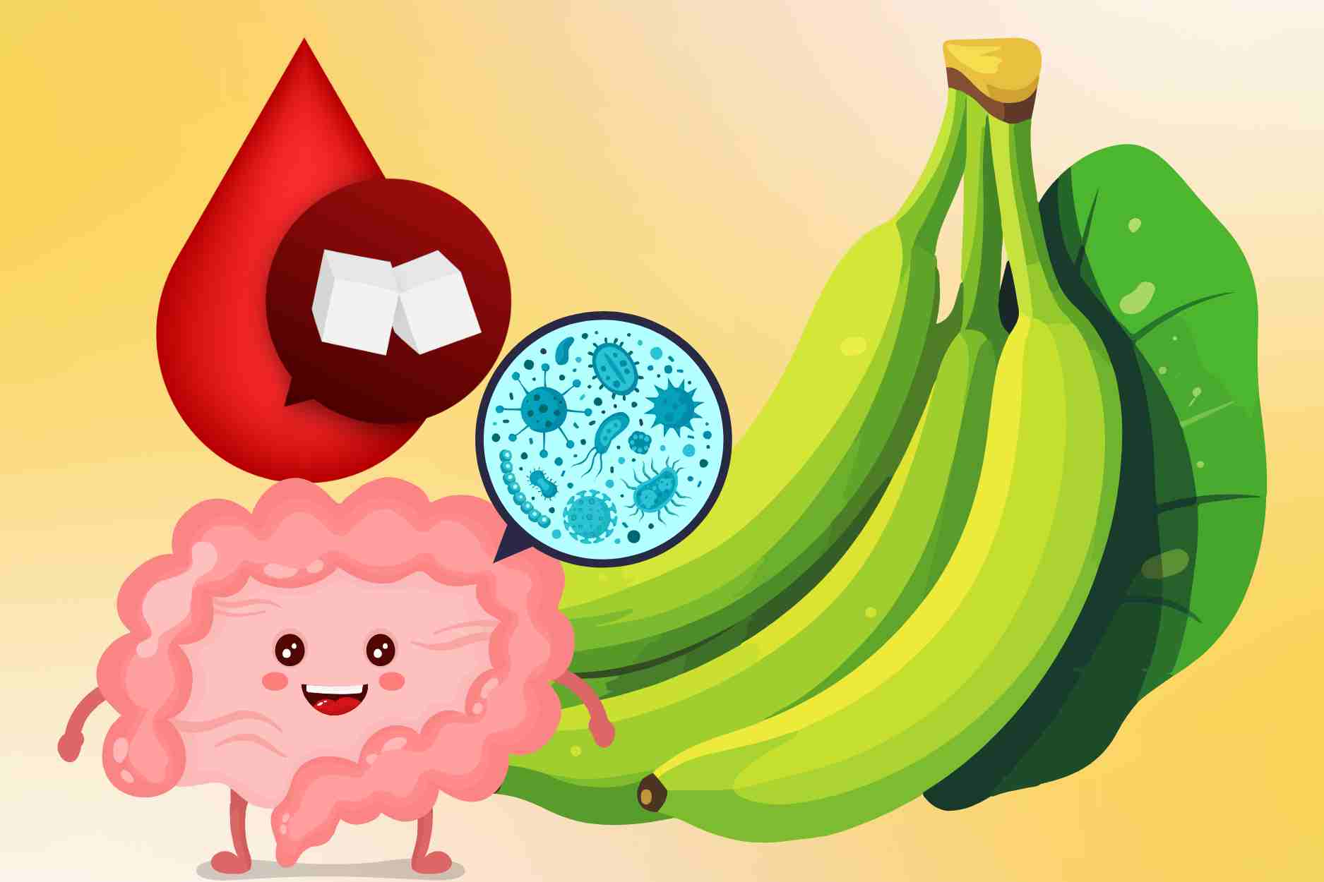 Le fruit rustique aide a perdre du poids a stabiliser la glycemie et a ameliorer la digestion