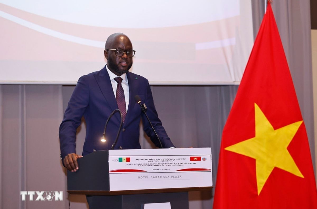Chu tich Quoc hoi Senegal Malick Ndiaye phat bieu. Anh: TTXVN