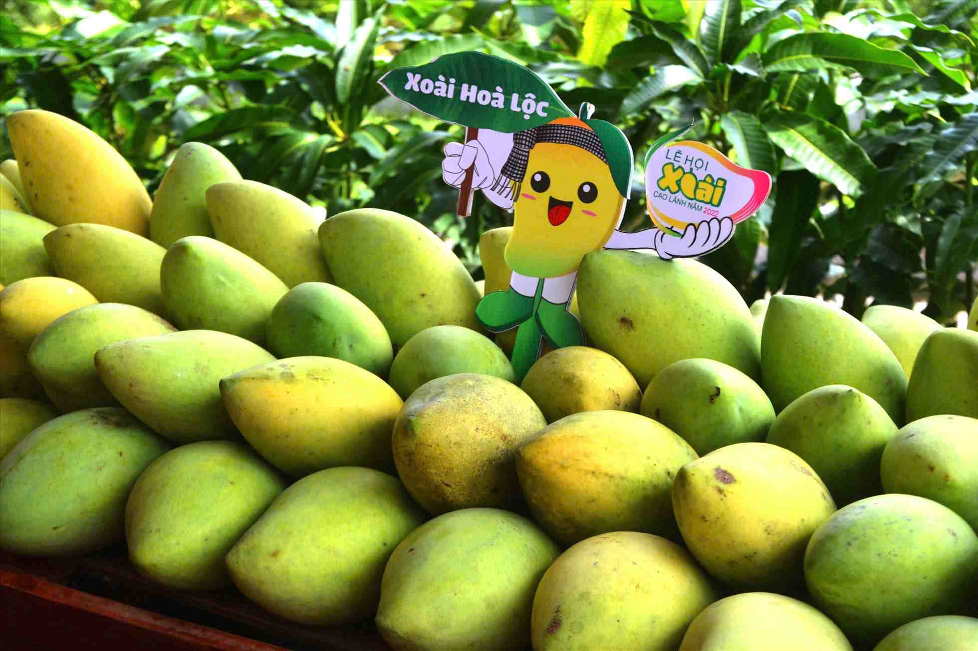 Hoa Loc mango - an OCOP product of Dong Thap province. Photo: Luc Tung