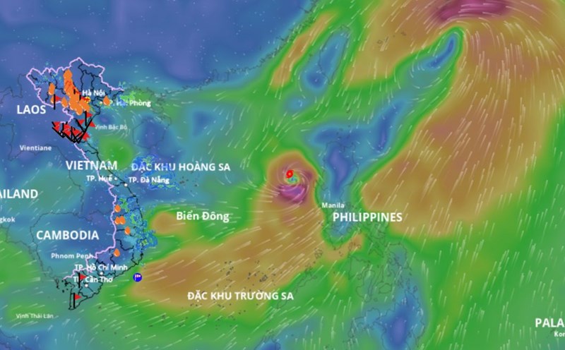 Updated location of storm No. 4 Comay at 8:00 a.m. on July 24. Photo source: Vietnam Disaster Monitoring System