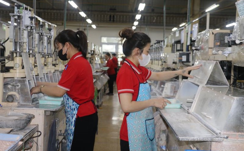 R Vietnam Technical Research Company Limited, 100% Japanese capital, is the first high-tech enterprise to invest in the old Hoa Binh province (now Phu Tho). Photo: Yen San
