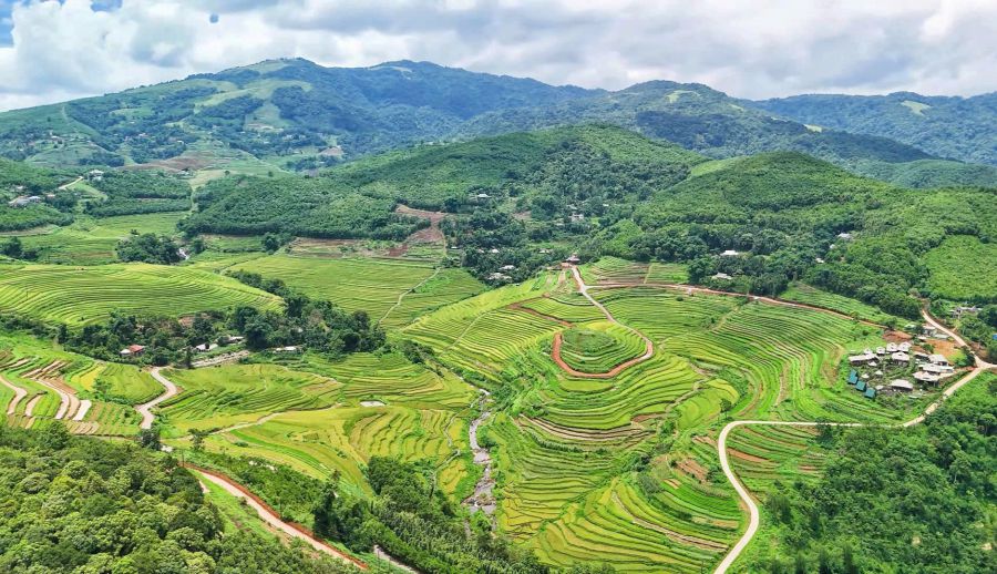 The land of Mien Doi, Thuong Coc commune is home to a large terraced fields and is considered the most beautiful in Muong and Hoa Binh countries. Photo: Binh Khang