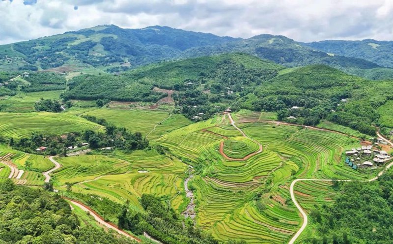 The land of Mien Doi, Thuong Coc commune is home to a large terraced fields and is considered the most beautiful in Muong and Hoa Binh countries. Photo: Binh Khang