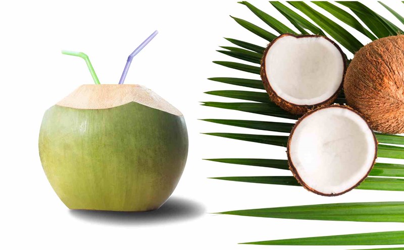 Coconut water is good for kidney function. Graphics: Ha May