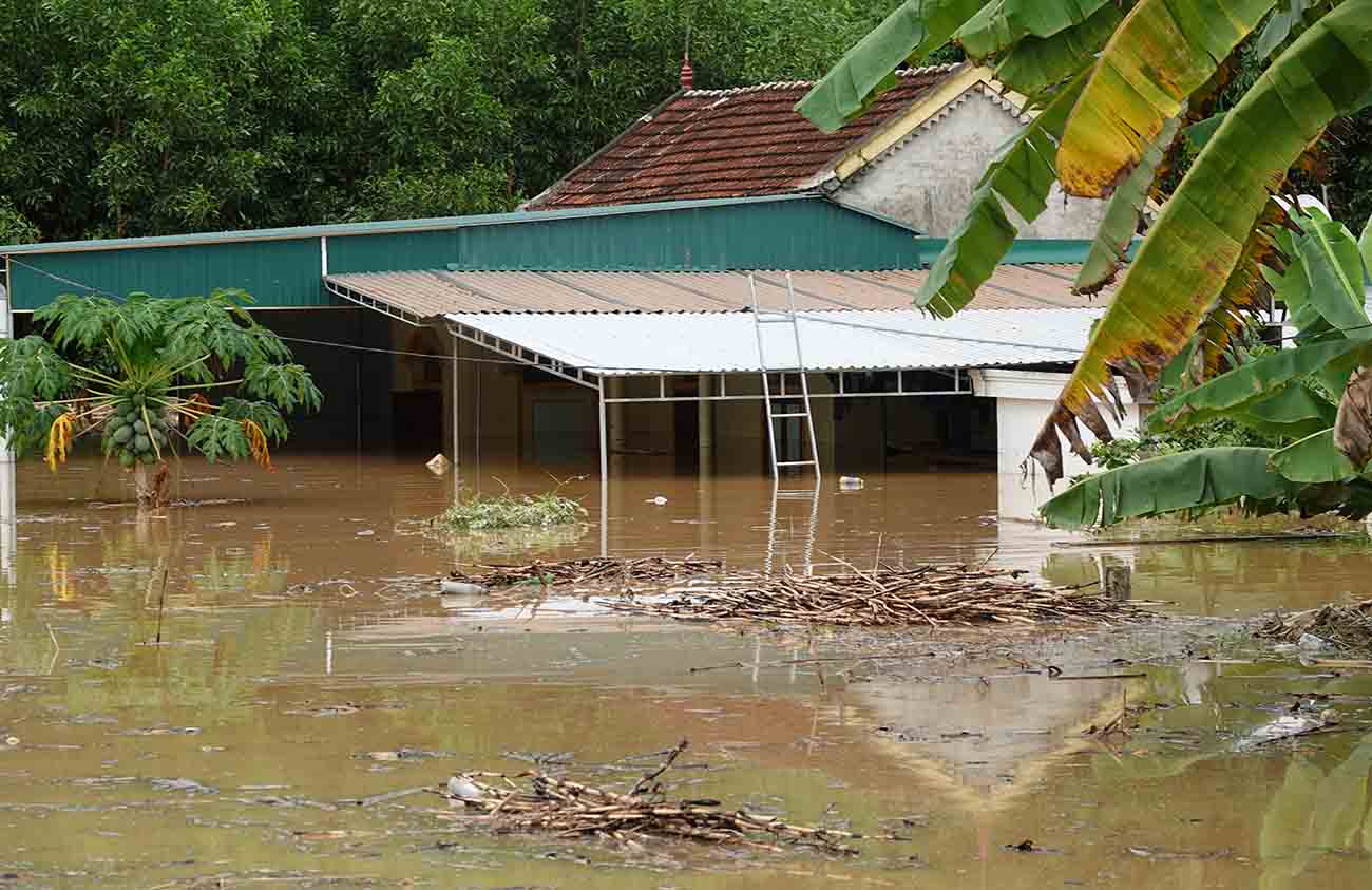 Les maisons des habitants de la commune de Nhan Hoa ont ete profondement inondees par les crues pres du toit. Photo : Tran Tuan