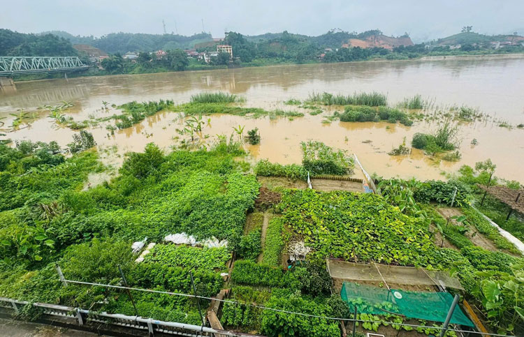 Song Thao khu vuc duong Thanh Nien, phuong Yen Bai, tinh Lao Cai