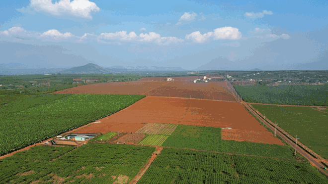 Gia Lai yêu cầu đẩy nhanh tiến độ các dự án ở khu vực phía Tây