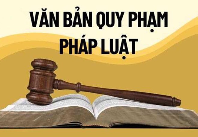 Bộ Tư pháp vừa có trả lời phản ánh, kiến nghị liên quan đến văn bản quy phạm pháp luật. Ảnh: VGP