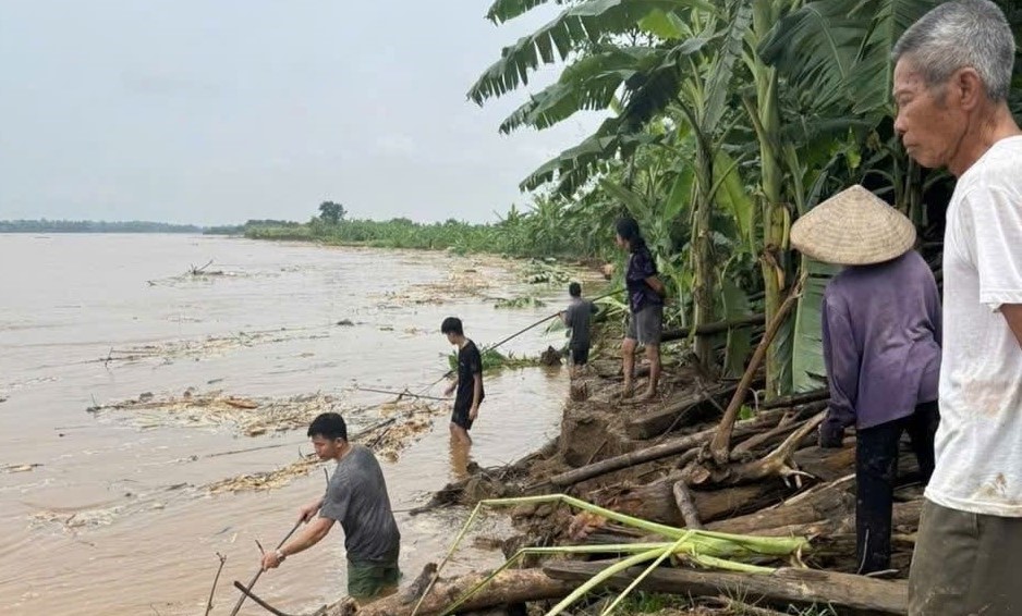 Glissements de terrain apres de fortes pluies de nombreuses zones de bananes et de cultures emportees. Photo : Quan Truong
