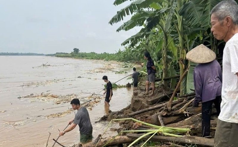 Landslides after heavy rain caused many areas of bananas and crops to be swept away. Photo: Quan Truong