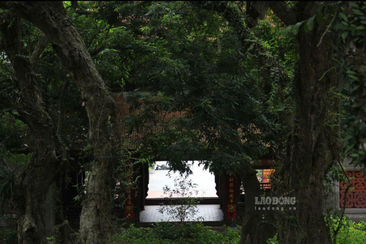 Tuong truyen, chua Bo Da co tu thoi Ly, khoang the ky thu XI. Vao thoi vua Le Du Tong (1720-1729) da duoc tu tao lon. Kien truc “noi cong ngoai quoc“ cua chua voi bao boc xung quanh la he thong tuong trinh, rang tre xanh tot tao nen ve thanh tinh, linh thieng.