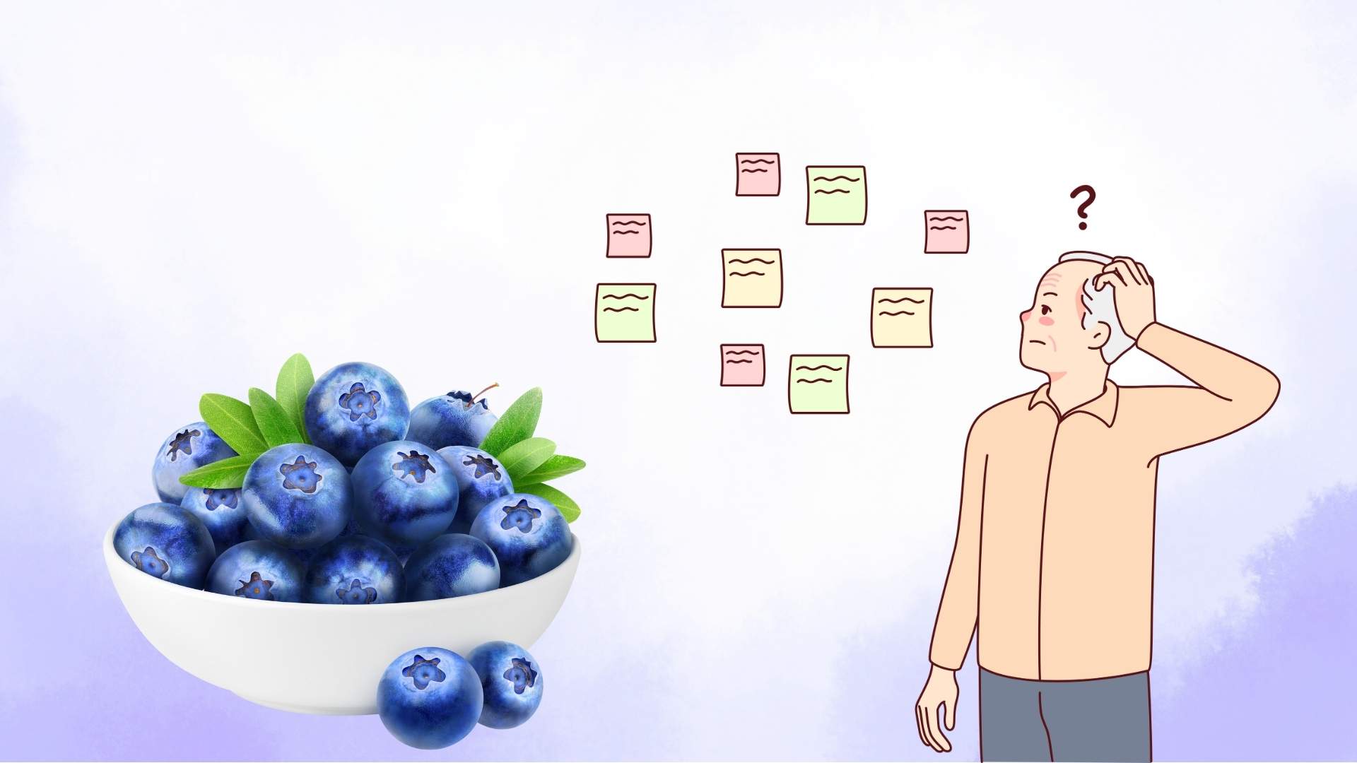 ブルーベリーは、高齢者の認知症のリスクを減らすために働いています。グラフィック：タンラム