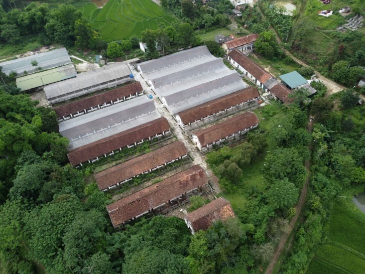 Aperçu de Duc Chinh Pig Farm (Cao Bang).  Photo: camionnette bronzee
