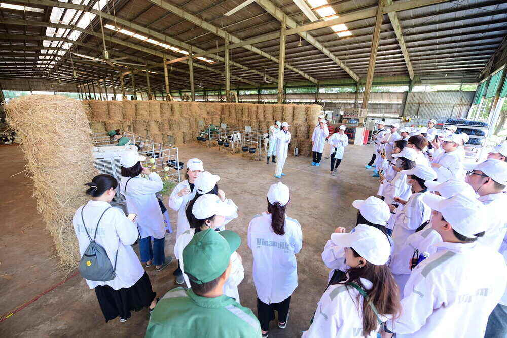 Anh: Quang Dinh