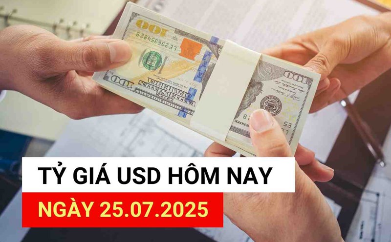 USD exchange rate today 25.7.2025.