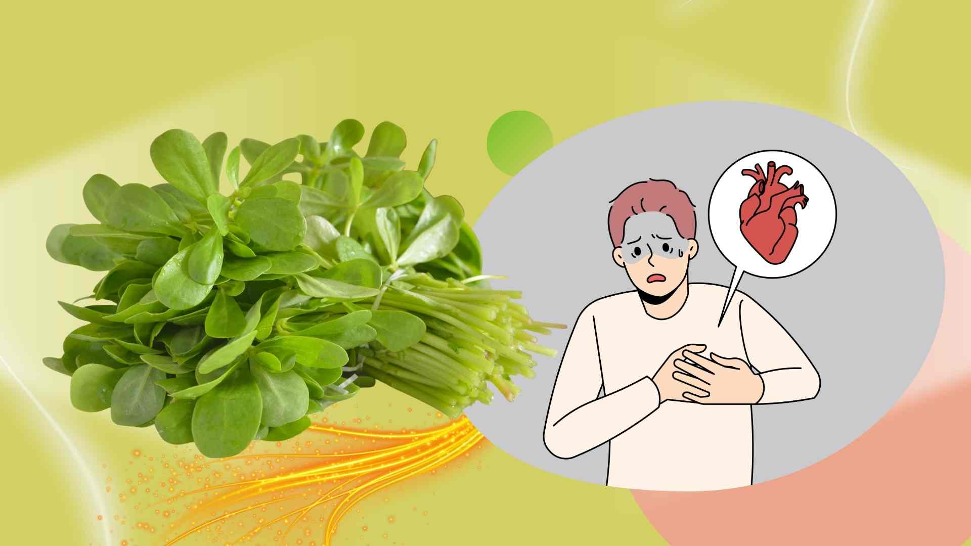 Wild vegetables help reduce cardiovascular strokes very effectively. Graphic photo: Hoang Loc