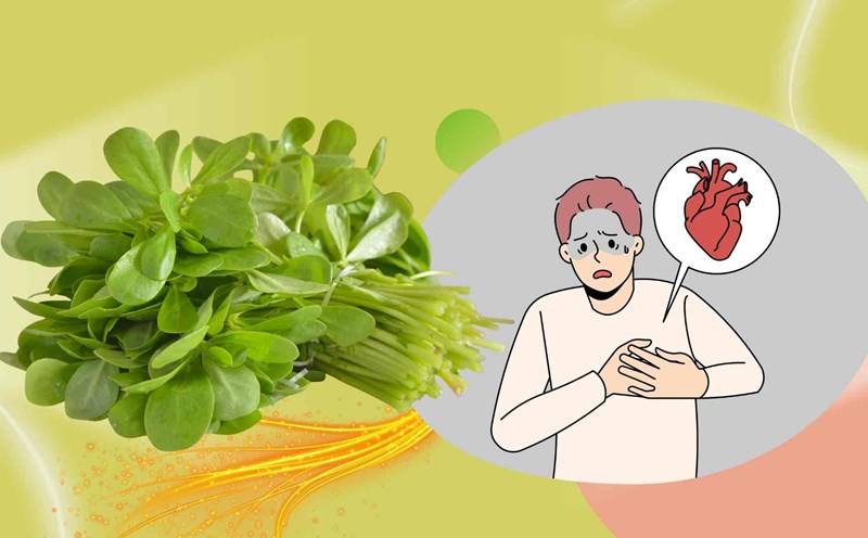 Wild vegetables help reduce cardiovascular strokes very effectively. Graphic photo: Hoang Loc