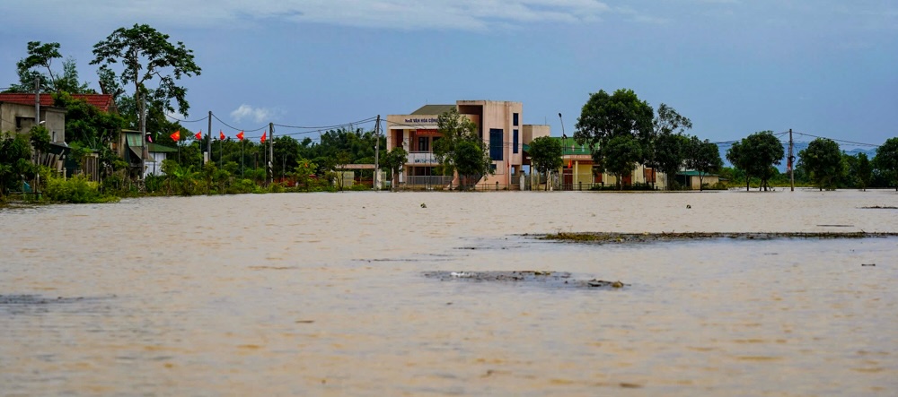 Ngap lut khien gan 23,5ha lua va 40ha hoa mau o cac thon Quang Loc 1, Quang Loc 2, Tien Phong, Quyet Tien... cua xa Duc Quang bi hu hong hoan toan, tong thiet hai uoc tinh gan 1,2 ti dong.