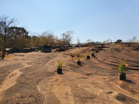 Vuon quoc gia Khao Phra Wihan o tinh Si Sa Ket la diem du khach nen tranh ghe tham tai Thai Lan trong thoi gian nay. Anh: Tripadvisor
