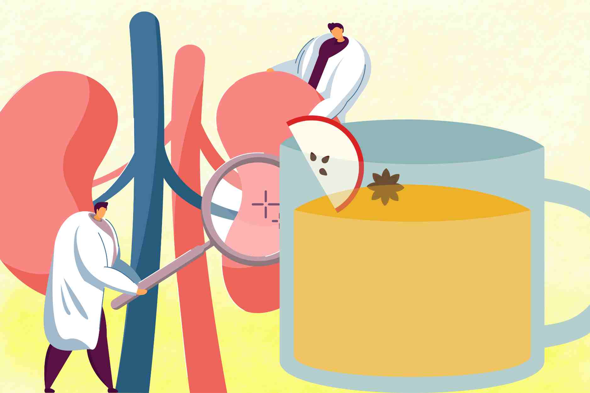 사과 식초는 매우 좋지만 다음 그룹의 사람들은 신장 해독에 절대 사용해서는 안 됩니다