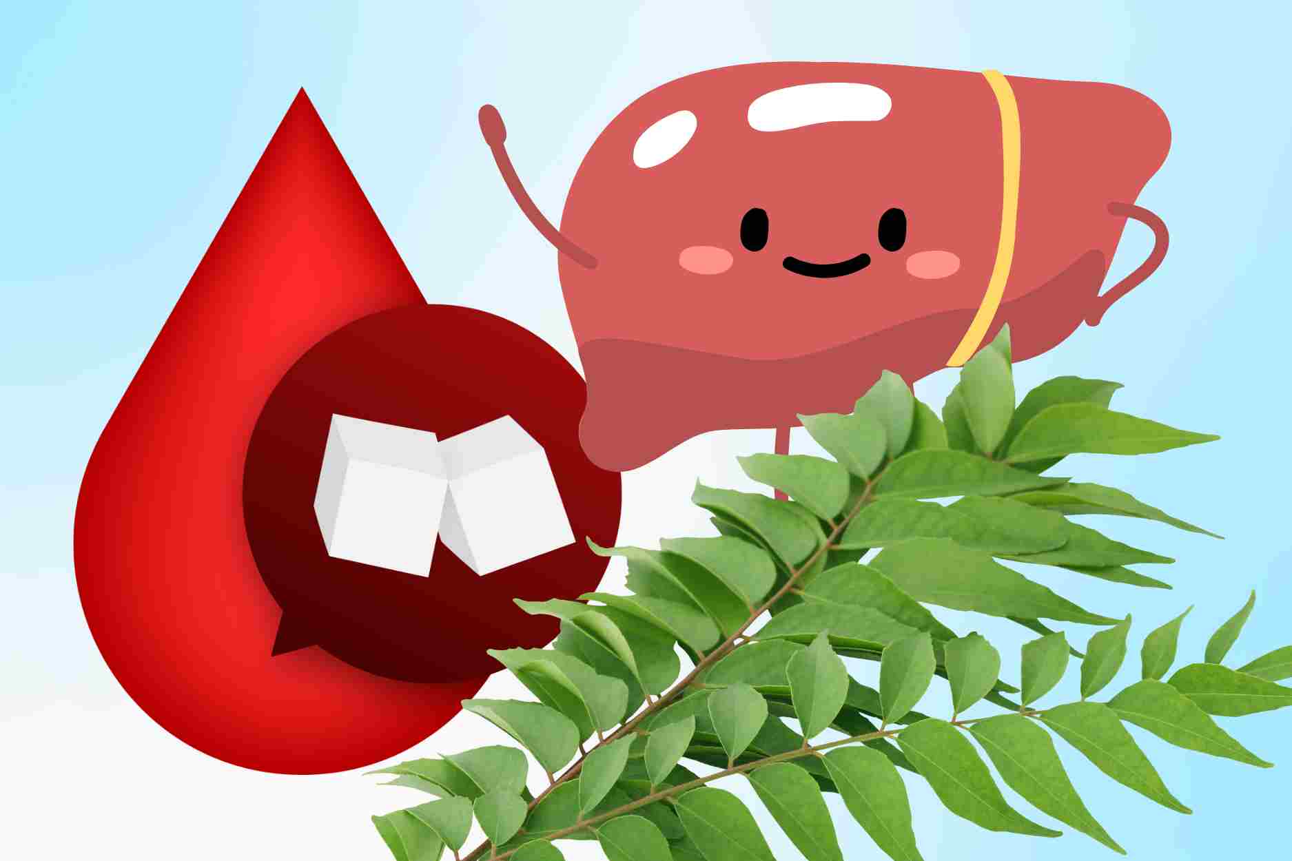 혈당 안정 눈을 밝게 하고 간을 보호하는 데 도움이 되는 친숙한 향신료 잎