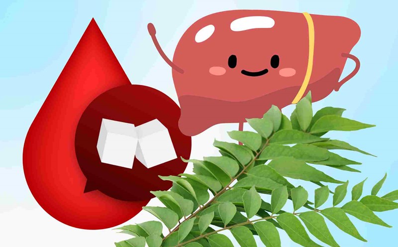 A familiar spice leaf helps stabilize blood sugar, brighten eyes and protect the liver