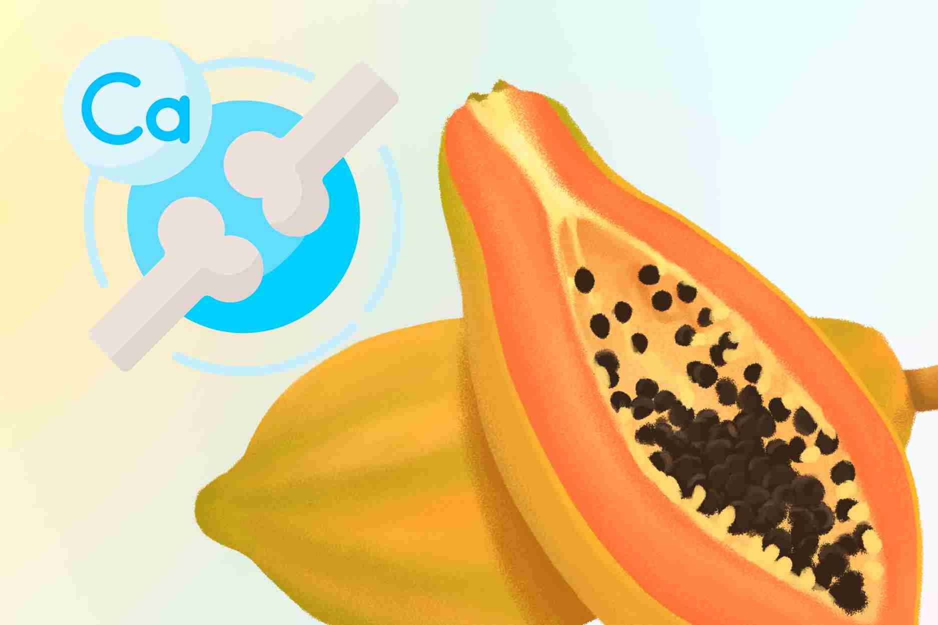 매일 뼈를 튼튼하게 하기 위해 파파야를 섭취하는 방법