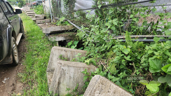 Loat cau kien be tong nam phoi gio suong. Anh: Trong Loc