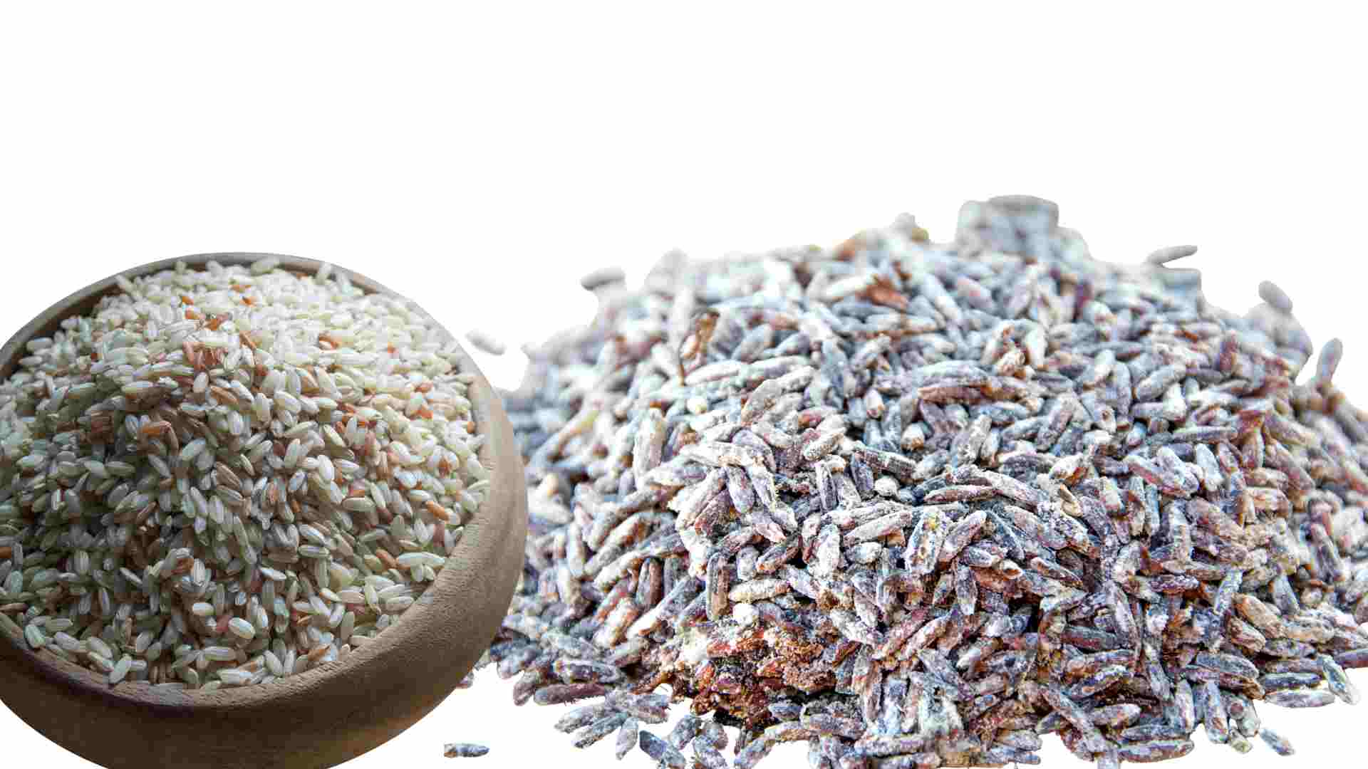 Black rice can damage the liver and kidneys. Graphics: Ha May